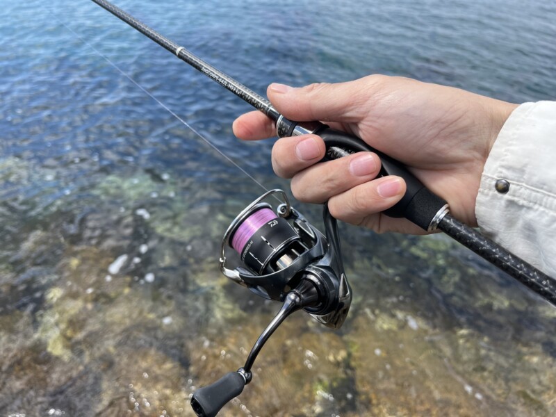 インプレ】26コルトプロトタイプ 642L-HS+ 鯵道7Gと買うならどっち