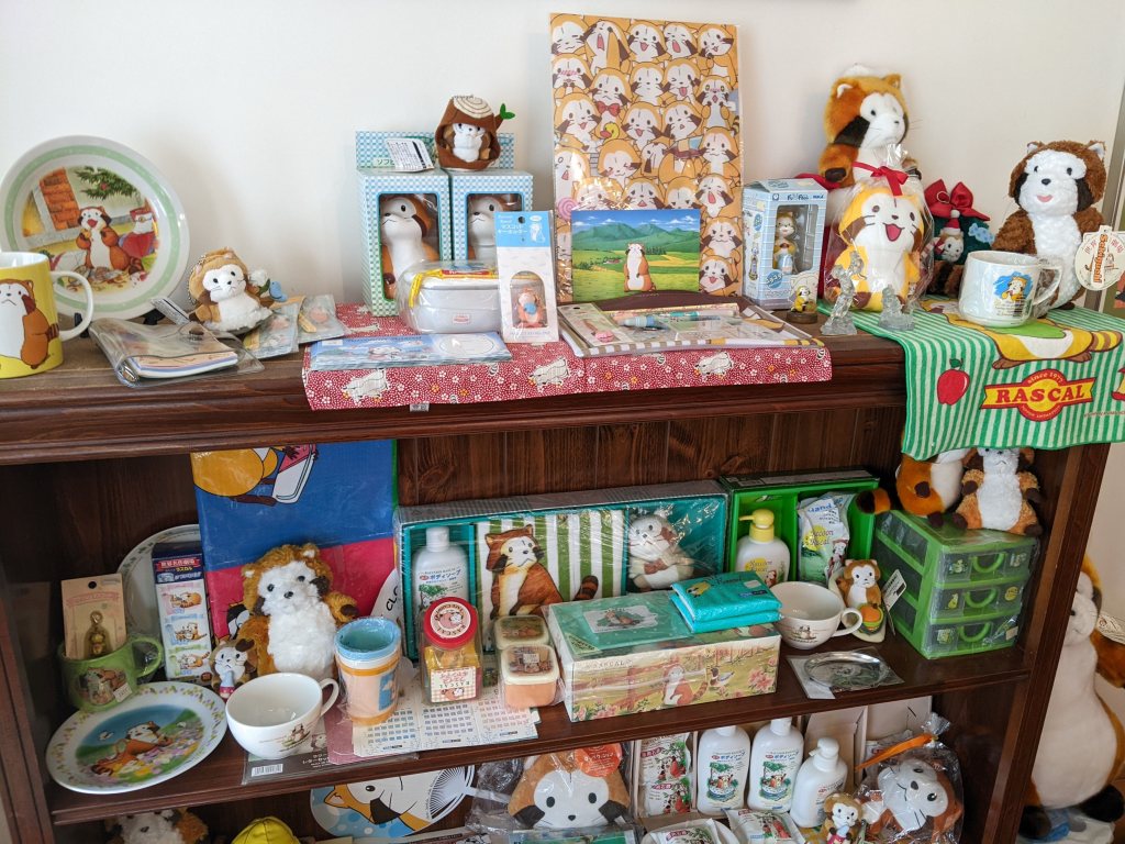a shelf of Rascal the raccoon memorabilia and merchandise