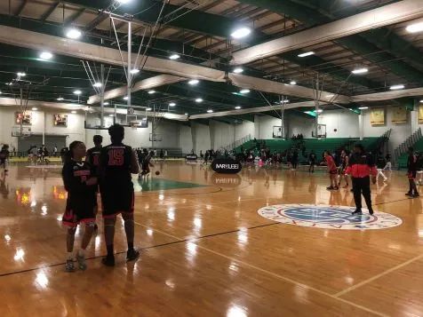 Github Zechnerlab Lpac - Best Landscape Patterns in Ultra HD