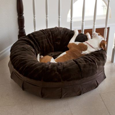 People easing into their golden years will enjoy th. Animals MatterÂ® Daisy Puffâ¢ Pet Bed | Frontgate