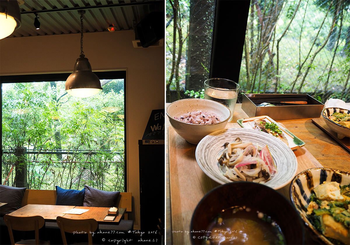 東京兩國⎮庭園裡的日式健康食堂 Kanoya Athlete Restaurant