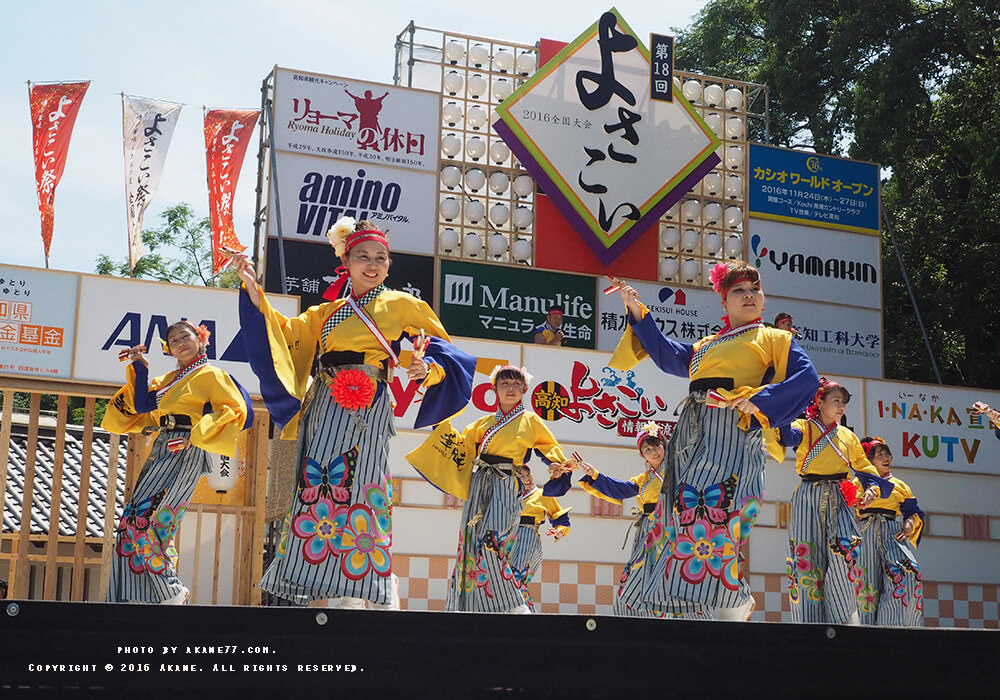 四國高知⎮來高知一定要體驗！首推4大行程