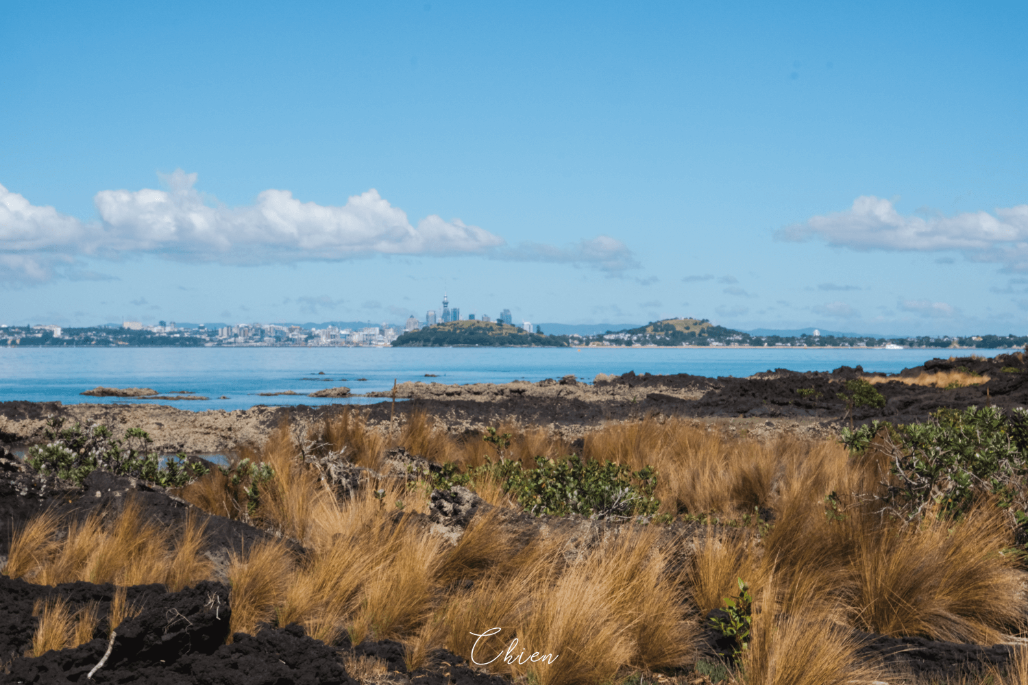 奧克蘭- 朗伊托托島 風景