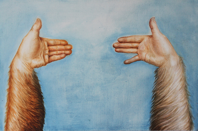 Llamas talking in the sky, 40 x 60 cm