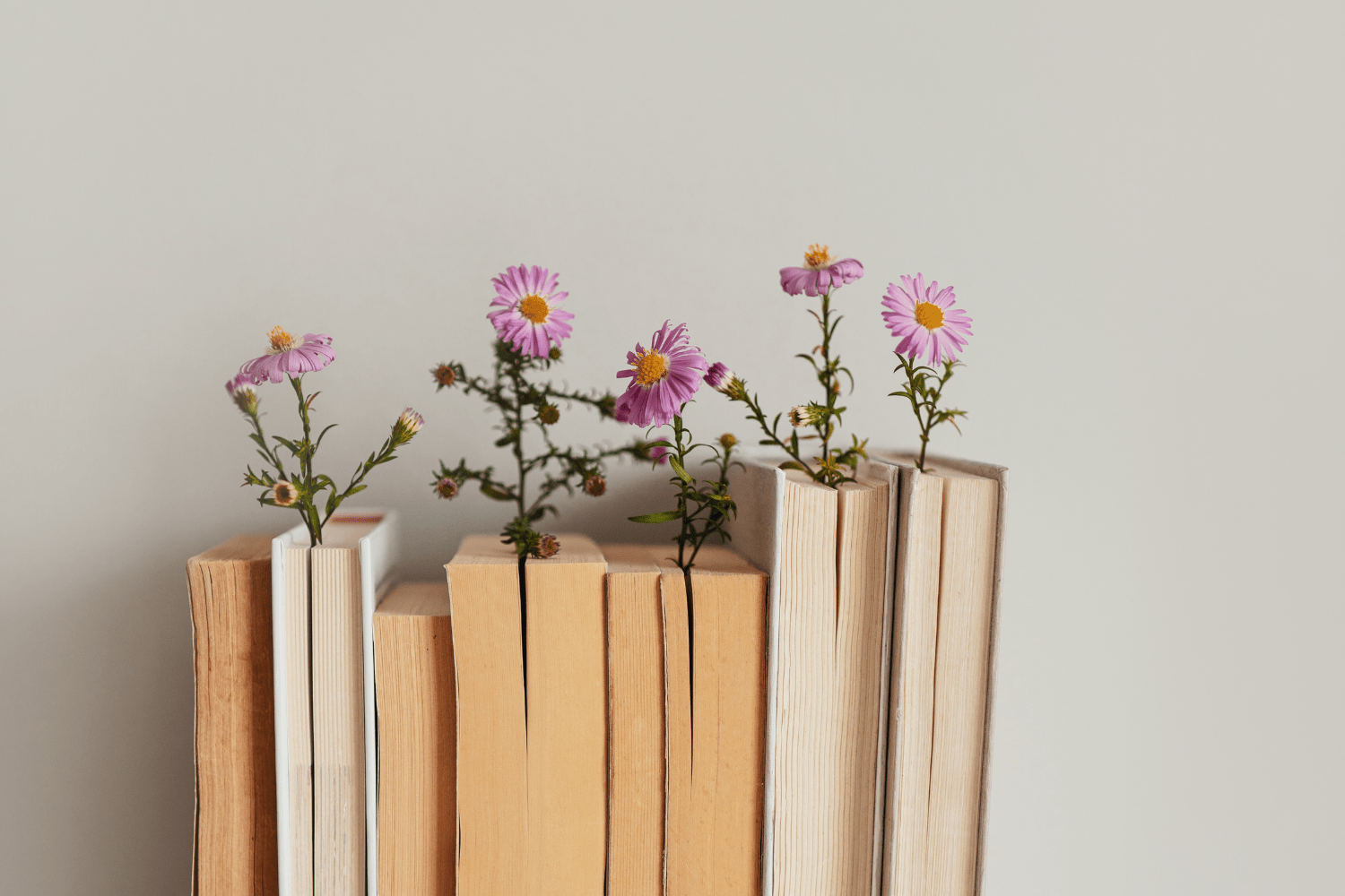 A bunch of books with pages facing the camera with picked flower on top.