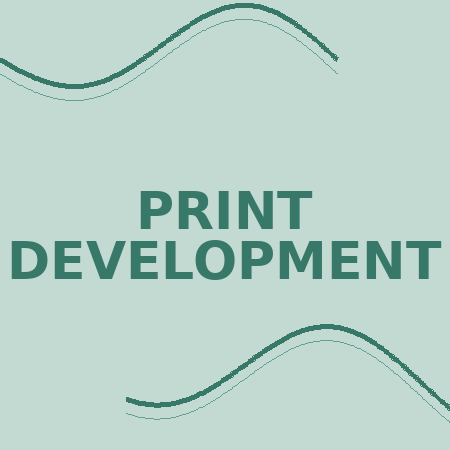 print_development_450