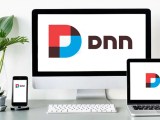 Dot Net Nuke Module Development Professional Services