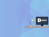 Dot Net Nuke Module Development Professional Services Ak Softco