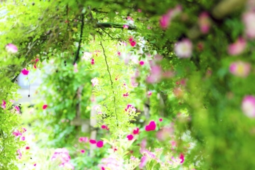 a7d7cc4a78f3f988e765c85a15b828c1_t a7d7cc4a78f3f988e765c85a15b828c1 t - a7d7cc4a78f3f988e765c85a15b828c1_t