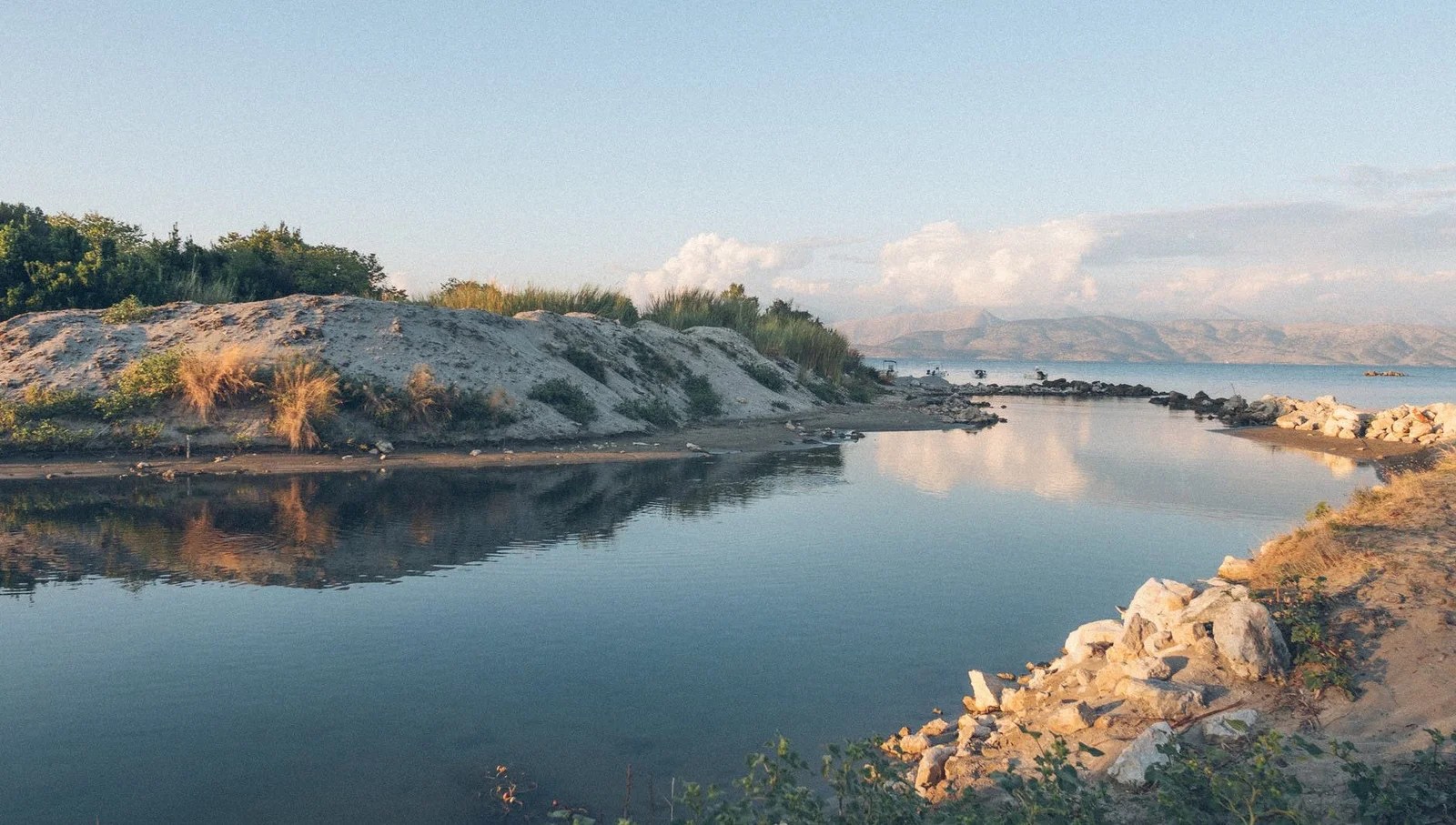 body of water near plants