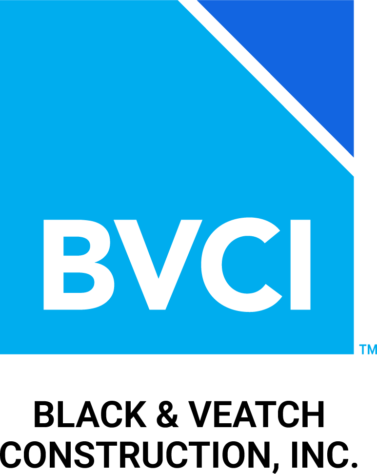 BVCI Logo__Digital