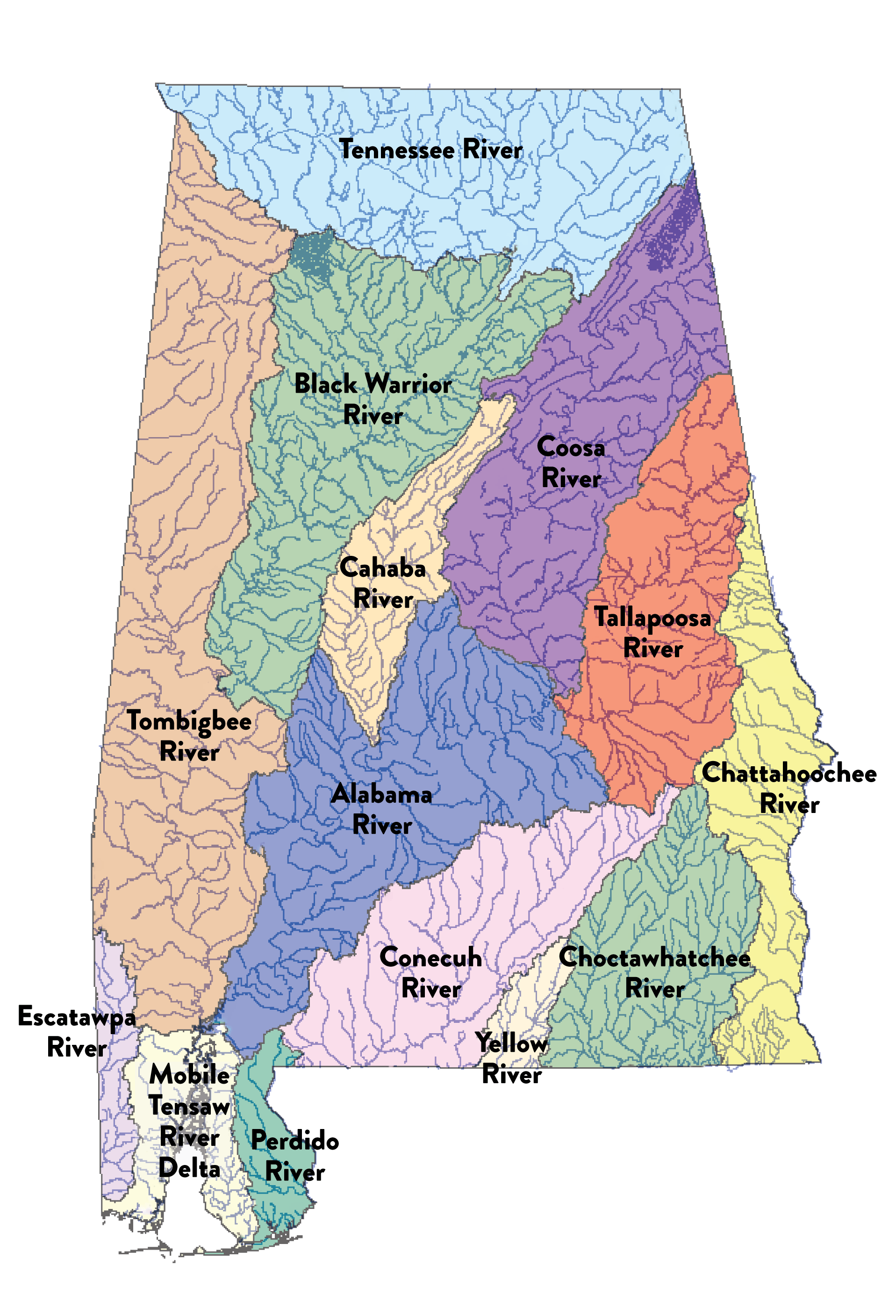 Exploring Alabama River Maps Where Can You Find Them Alabama Watersheds Rivers Labeled 2 