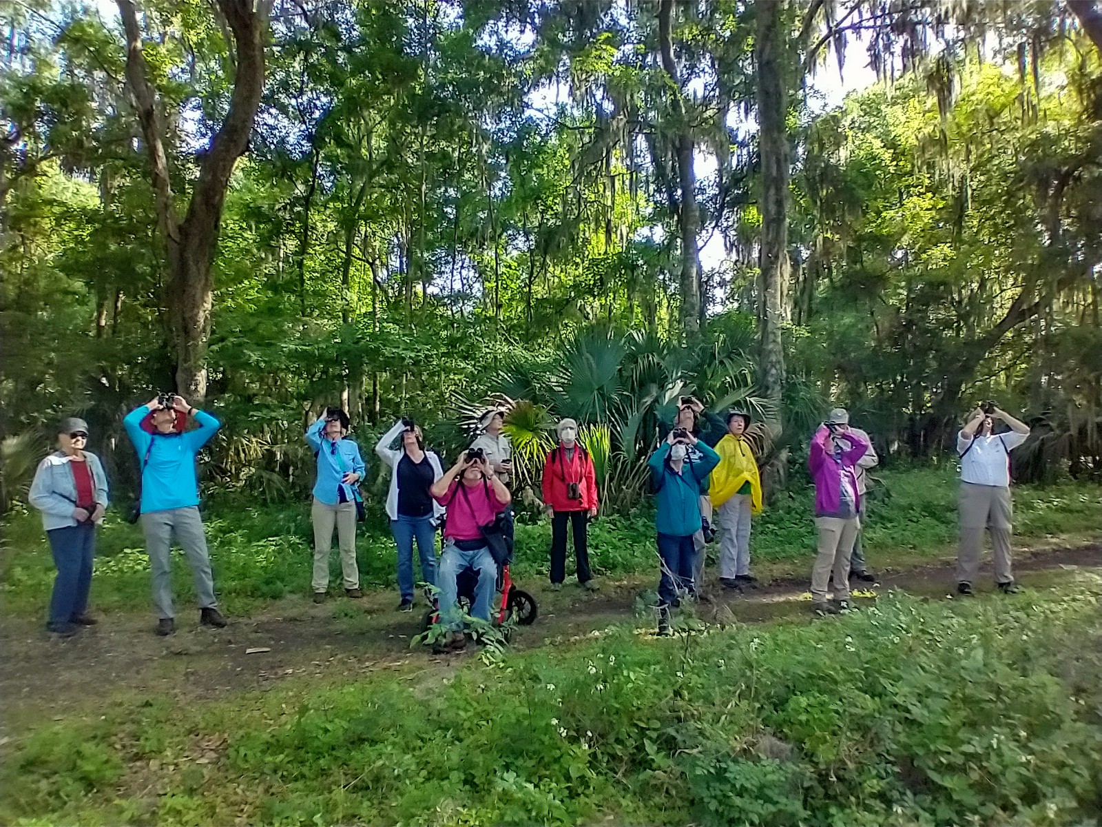 bird-rambles-alachua-audubon-society