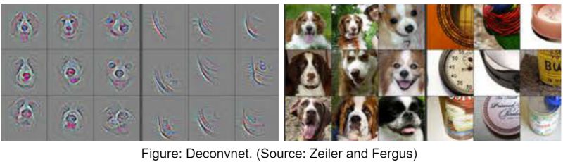 Deep Learning Final Project Classifier To Segmentation - Amazing Dark Photo - Retina