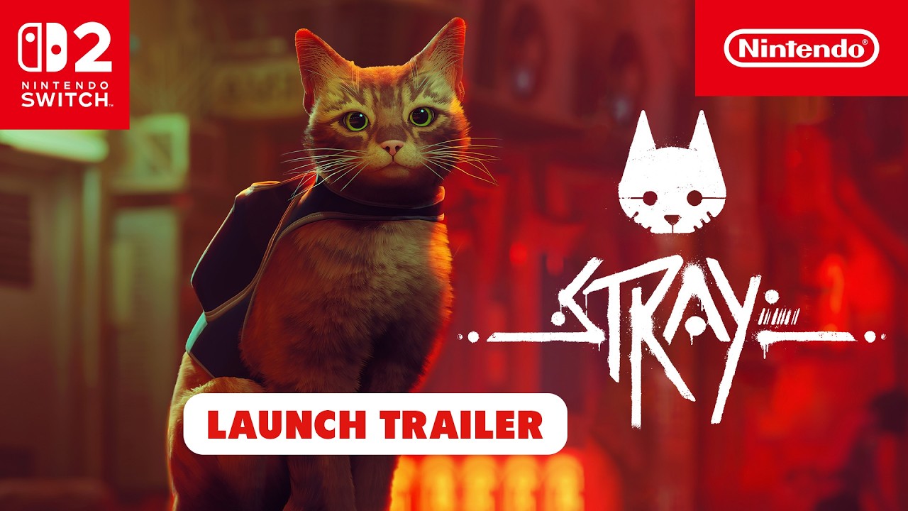 Stray