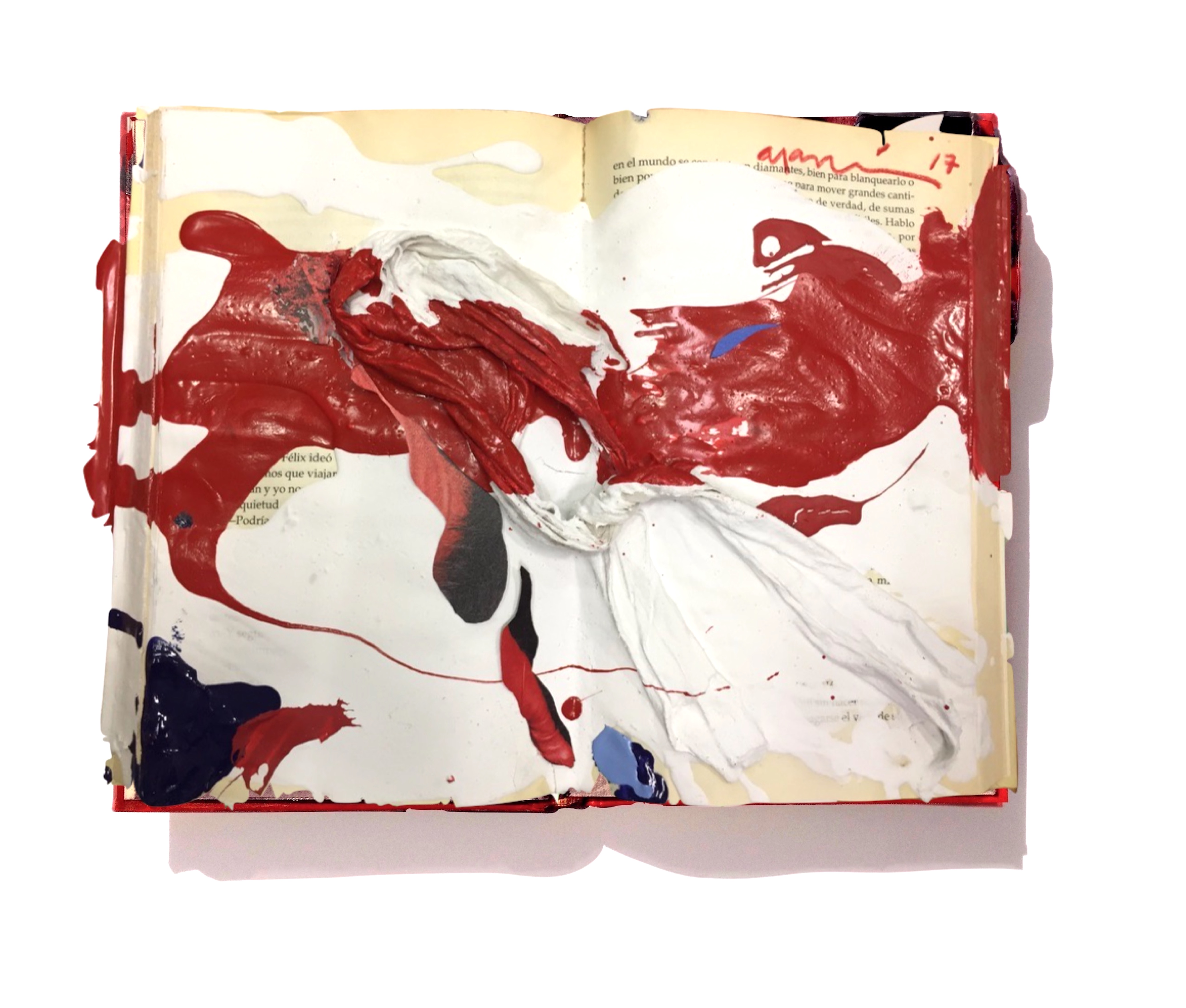 A dossier Ars Magna copia