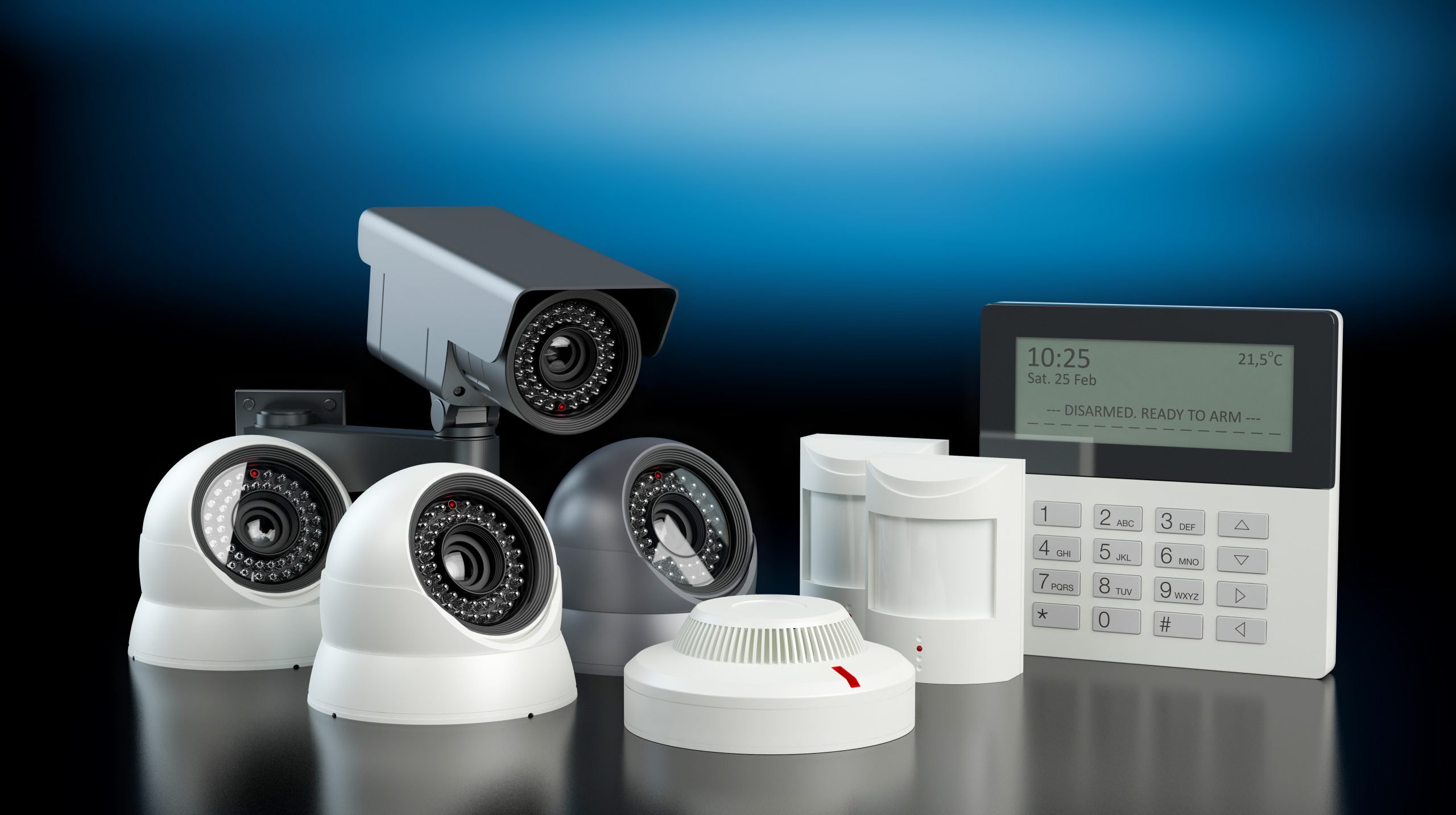 Alarm system and camera examples