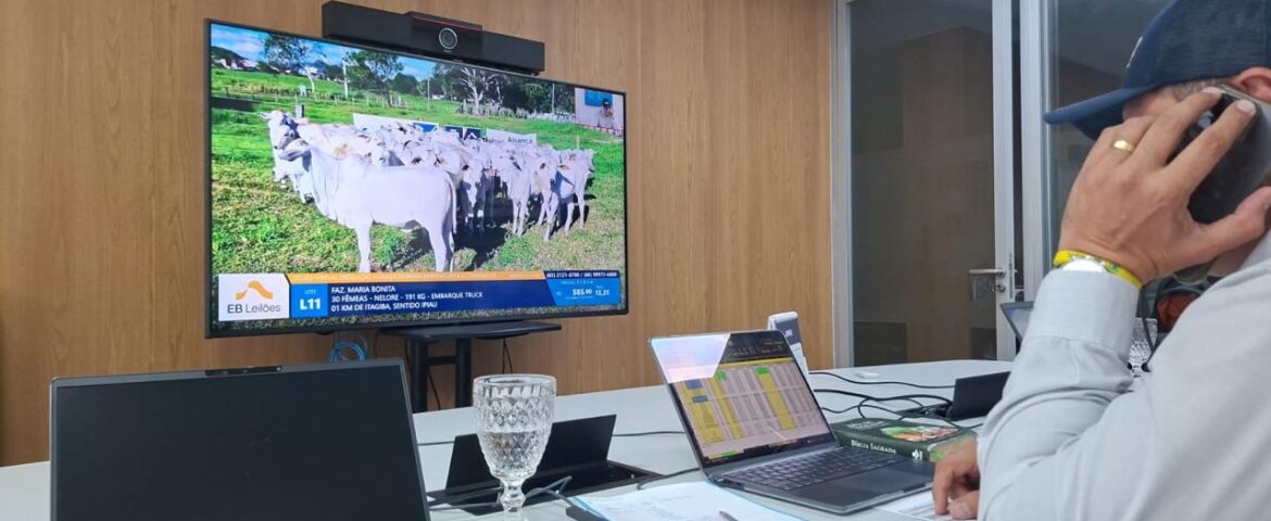 6º Leilão Virtual Aliança da Bahia Agropecuária Celebra Grandes Negócios