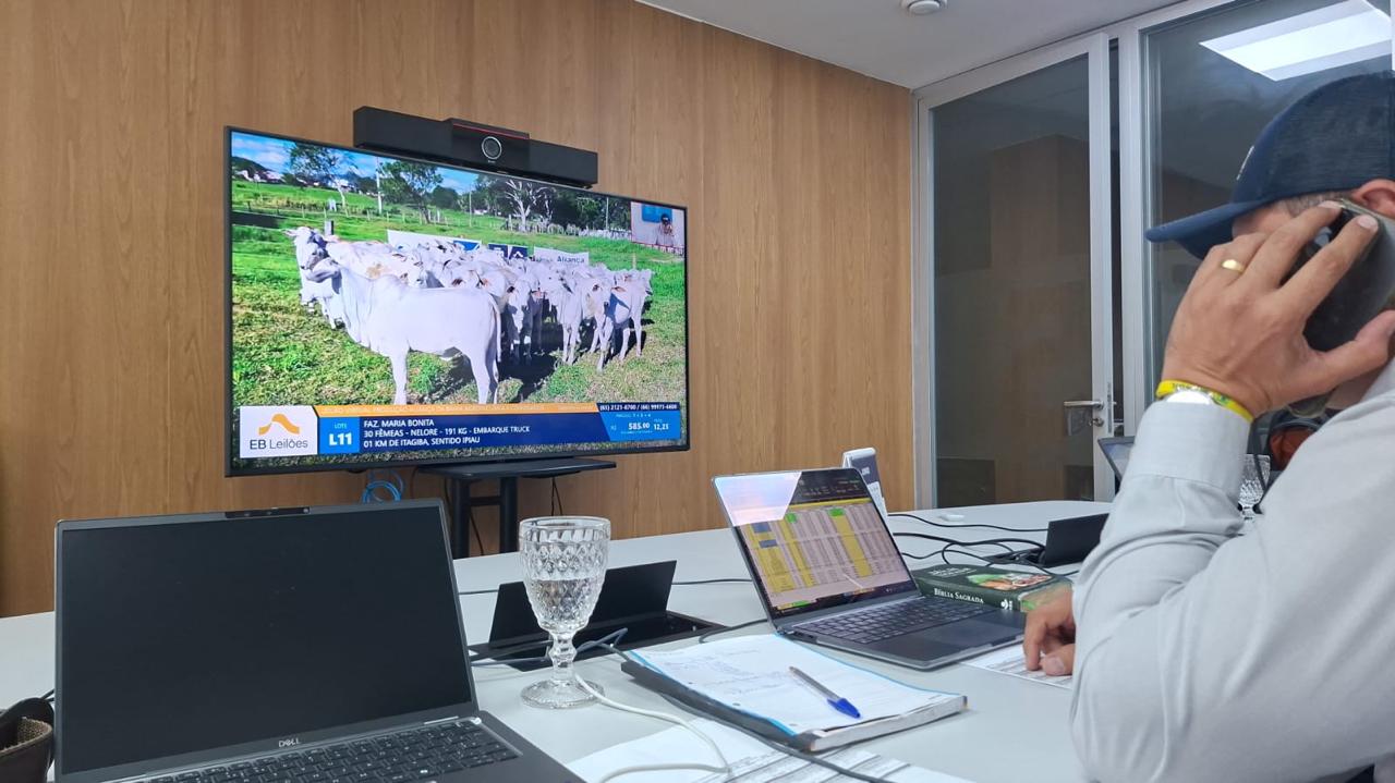 6º Leilão Virtual Aliança da Bahia Agropecuária Celebra Grandes Negócios