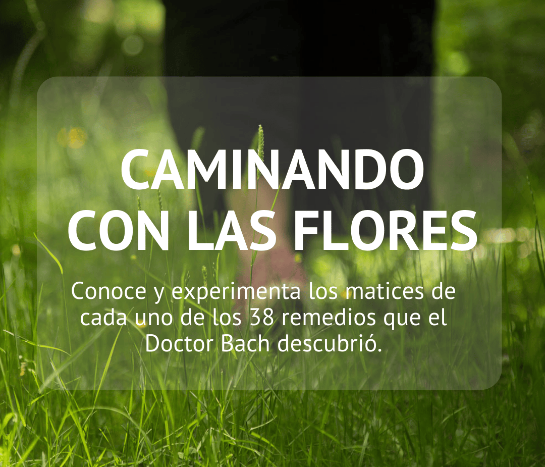 Caminando con las flores de Bach