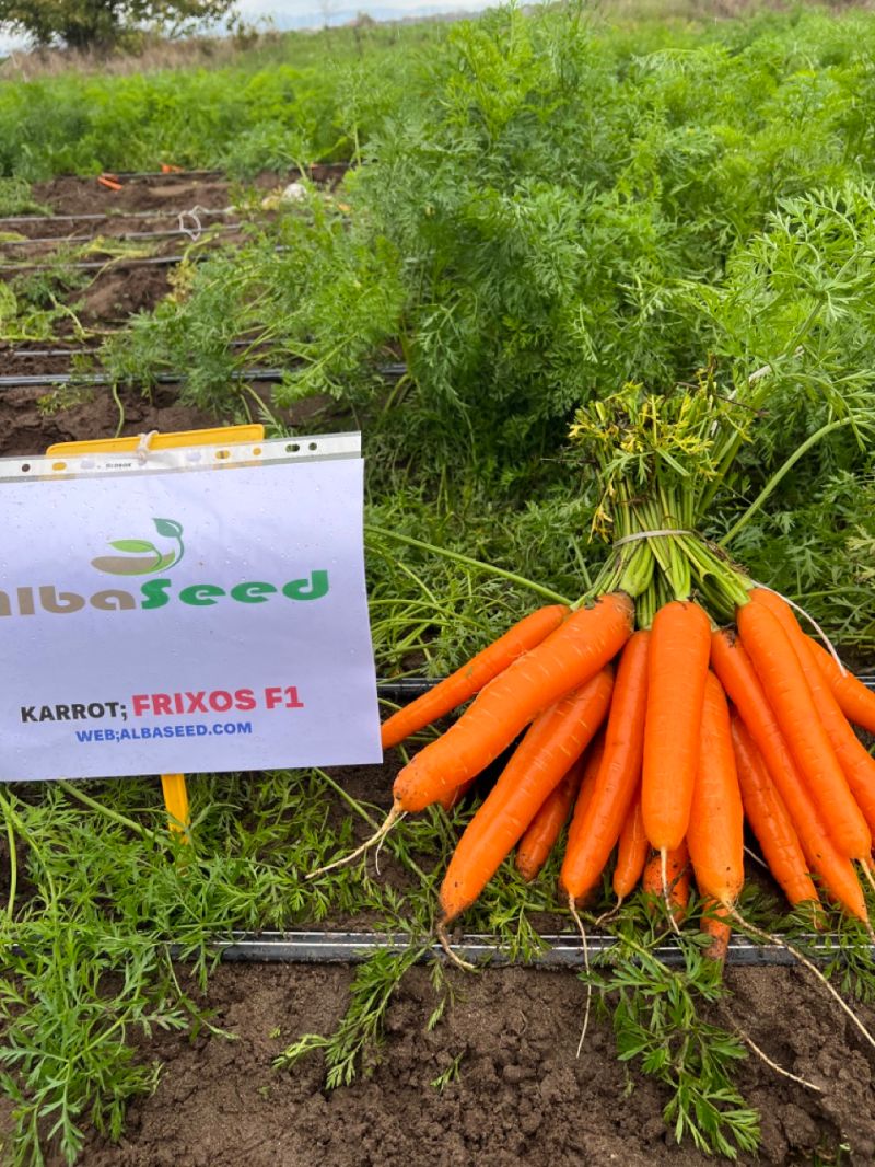 Frixospapachristodoulou Frixos Papachristodoulou Github - Premium Nature Photo Gallery - Mobile