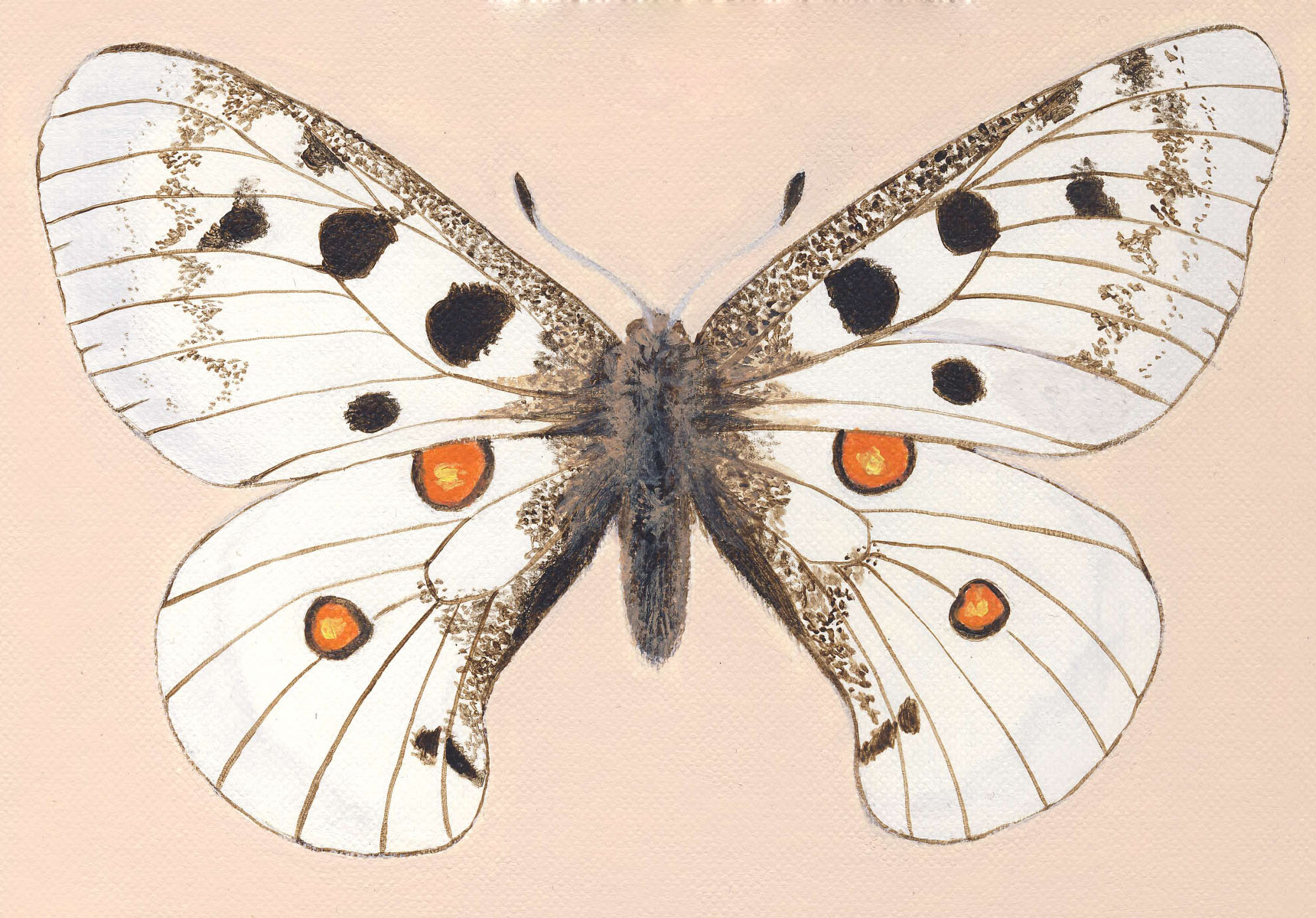 CanoScan Toolbox Ver5.0.1.2