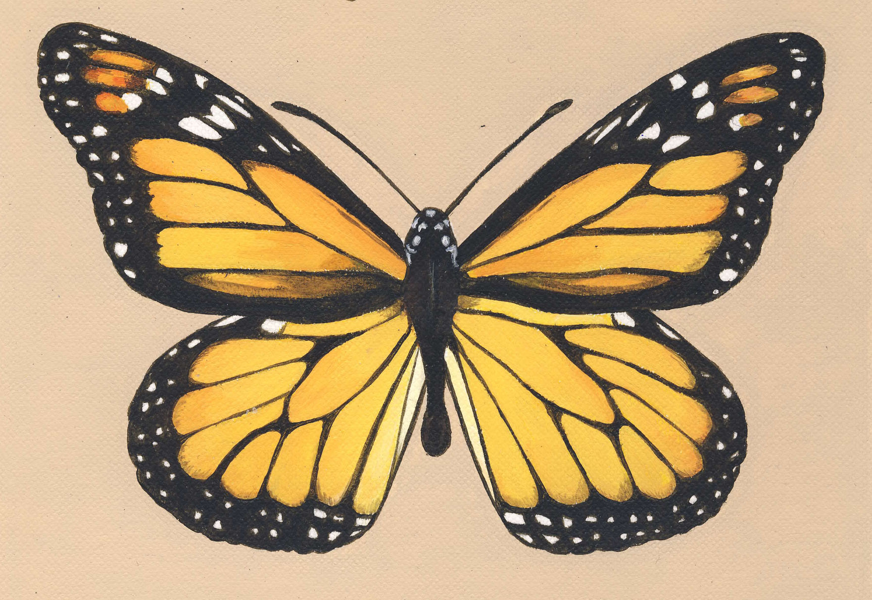 CanoScan Toolbox Ver5.0.1.2