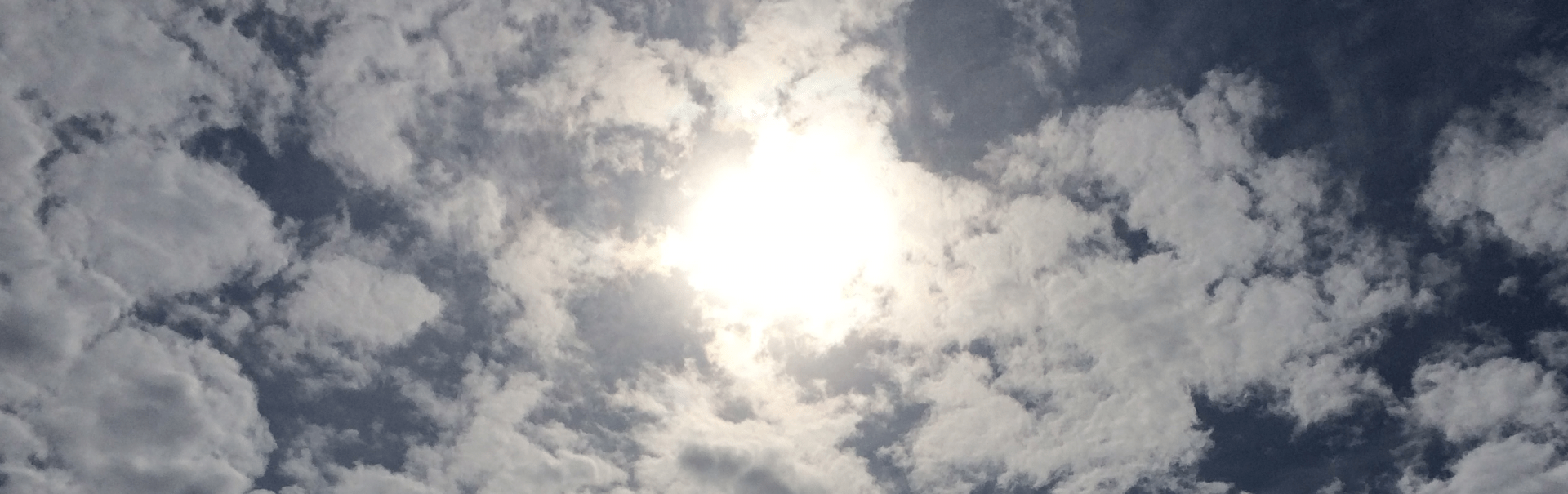 Alberta Government to Promote and Invest in Energy Efficiency