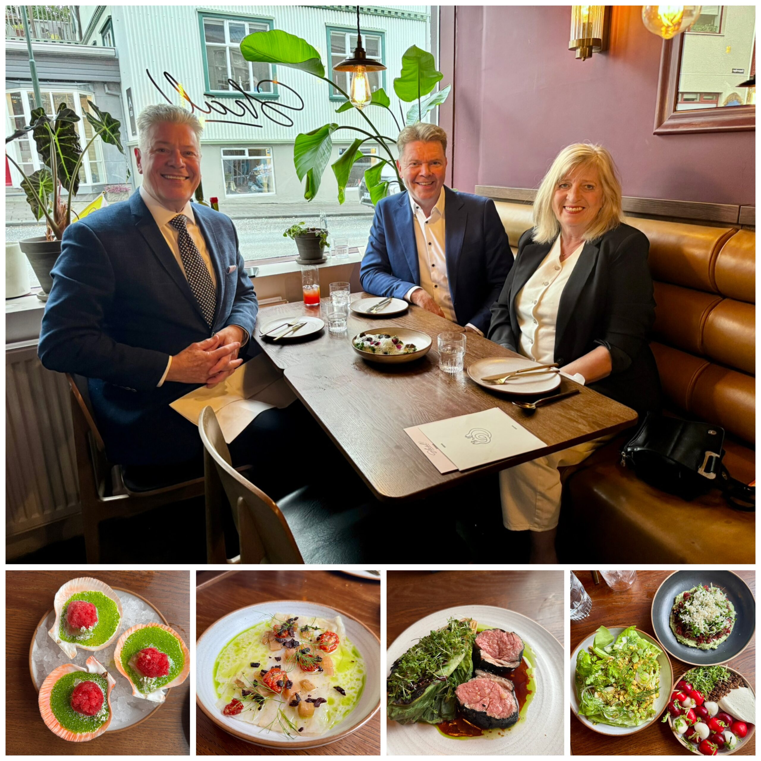 Dinner at Skál! – A Cozy Reykjavík Gem with a Michelin Bib Gourmand