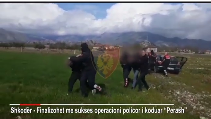 Sekuestrohen 20kg hashash dhe fara kanabis, arrestohet 4 persona në Shkodër