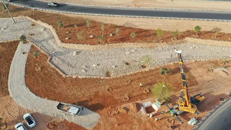 Plani ambicioz i Arabisë Saudite, do të mbjellë 10 miliardë pemë në shkretëtirë