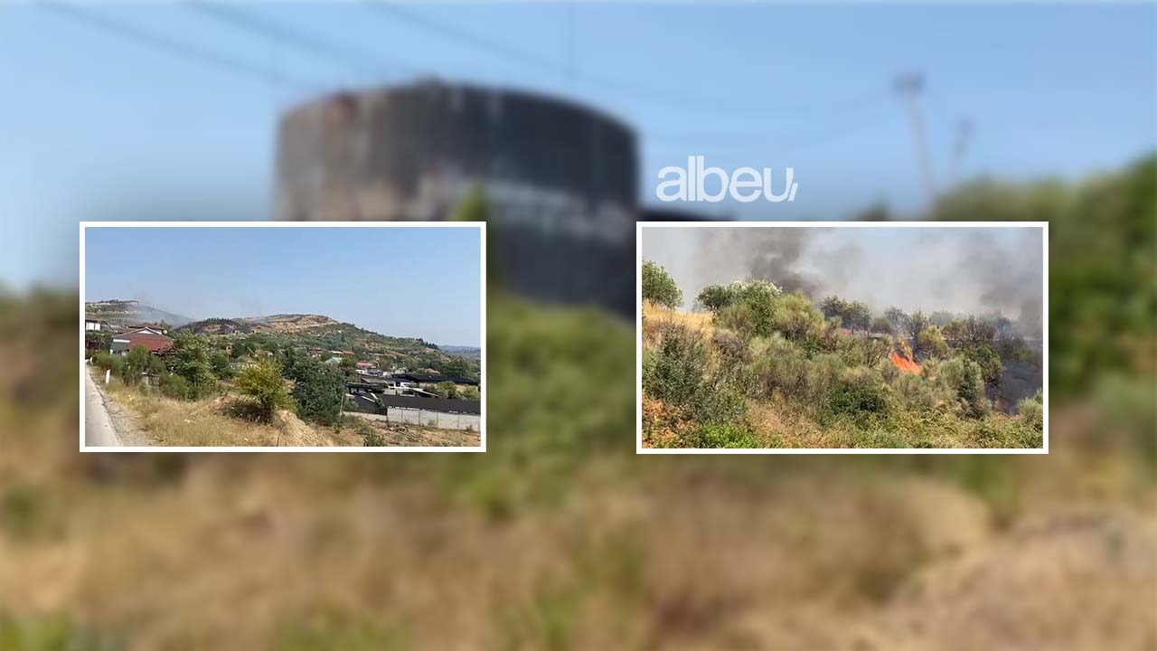 Zjarri përfshin një pus nafte në Patos, digjen ullishtet pranë (FOTO LAJM)