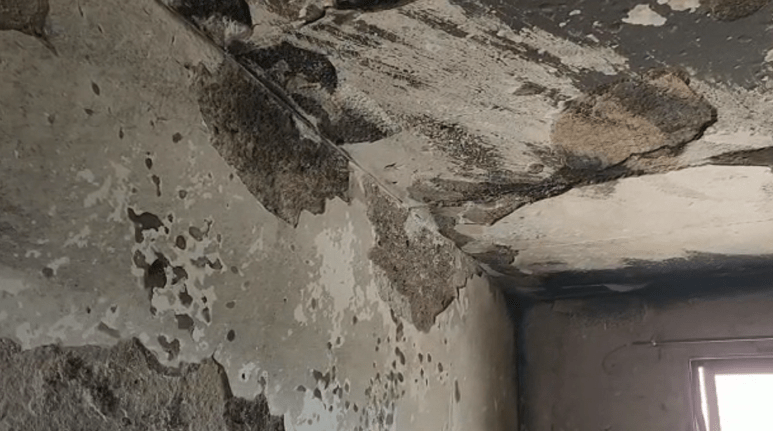 Zjarr në një lokal në Spitallë të Durrësit