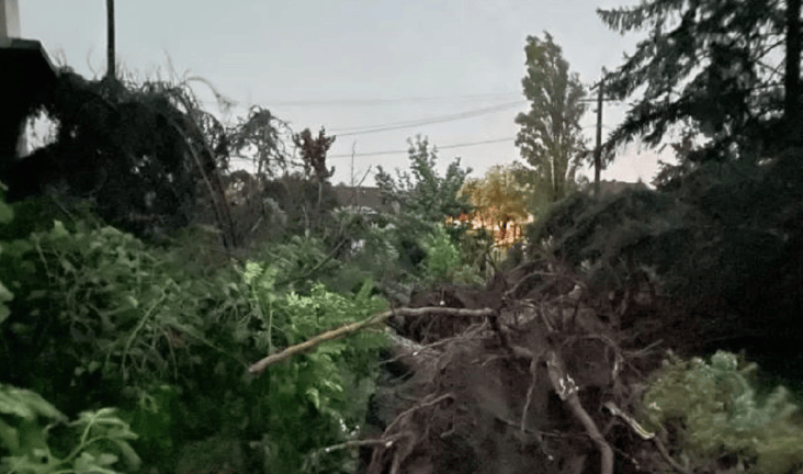 Stuhi tjetër vdekjeprurëse në Serbi, humbin jetën një fëmijë dhe një grua