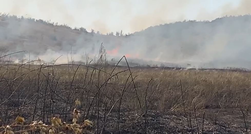 Zjarr në Zadrimë të Lezhës, përfshihet nga flakët tokat bujqësore