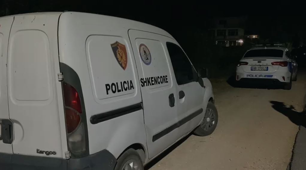 Vrau nënën dhe plagosi babanë, Florion Dalladaku kishte tentuar të vriste dhe…