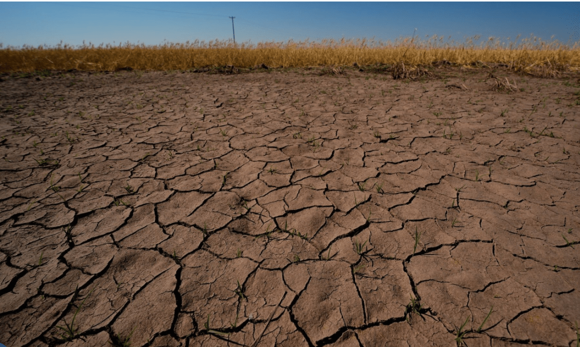 Evropa përballet me temperatura ekstreme/ “El Niño” ndez alarmin, 2027 mund të jetë viti më i nxehtë në historinë e Tokës