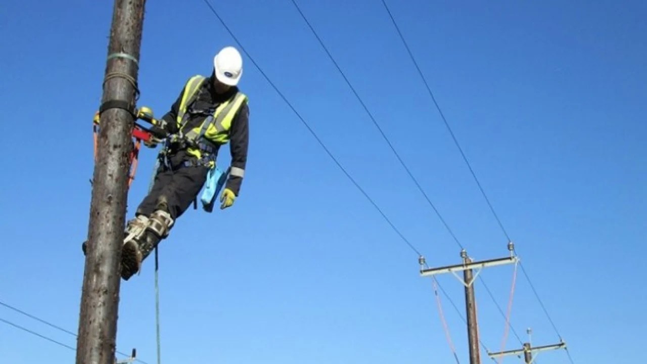E rëndë në Belsh/ Ra në kontakt me energjinë gjatë riparimit të linjës elektrike, humb jetën 32-vjeçari