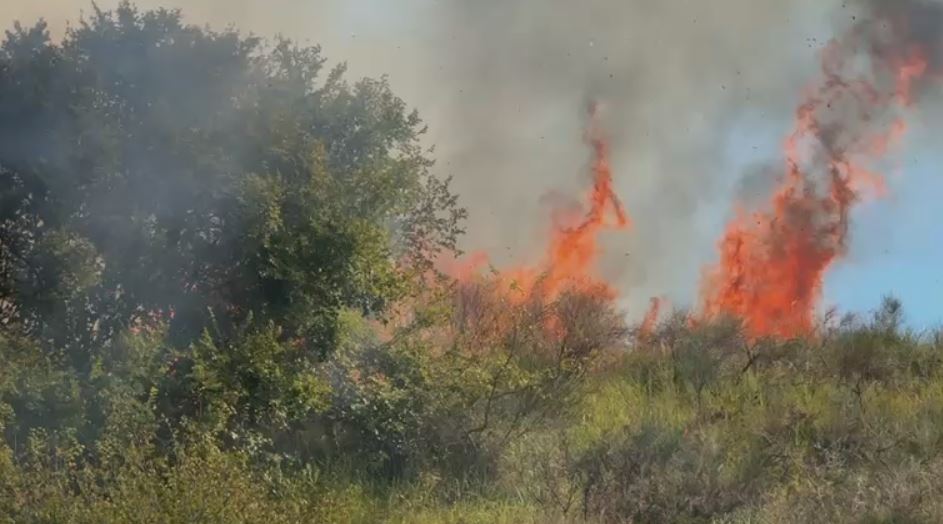 VIDEO/ Zjarr masiv në afërsi të kodrave të Parkut Arkeologjik të Apolonisë