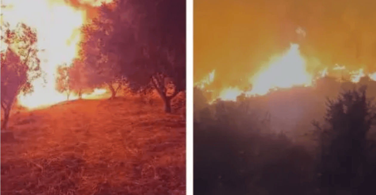 Situatë e rënduar nga zjarret në Peqin, qindra forca në terren, pritet ndërhyrja nga ajri