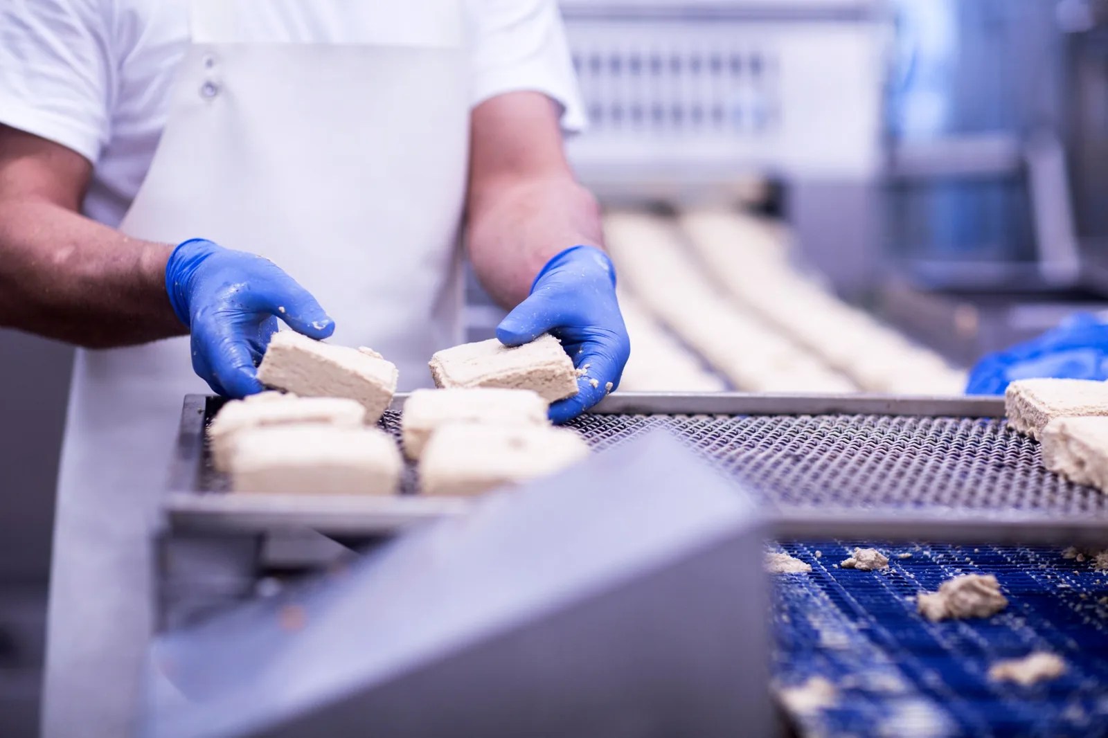 Worker wearing blue gloves holds rectangular food pieces above a conveyor belt.