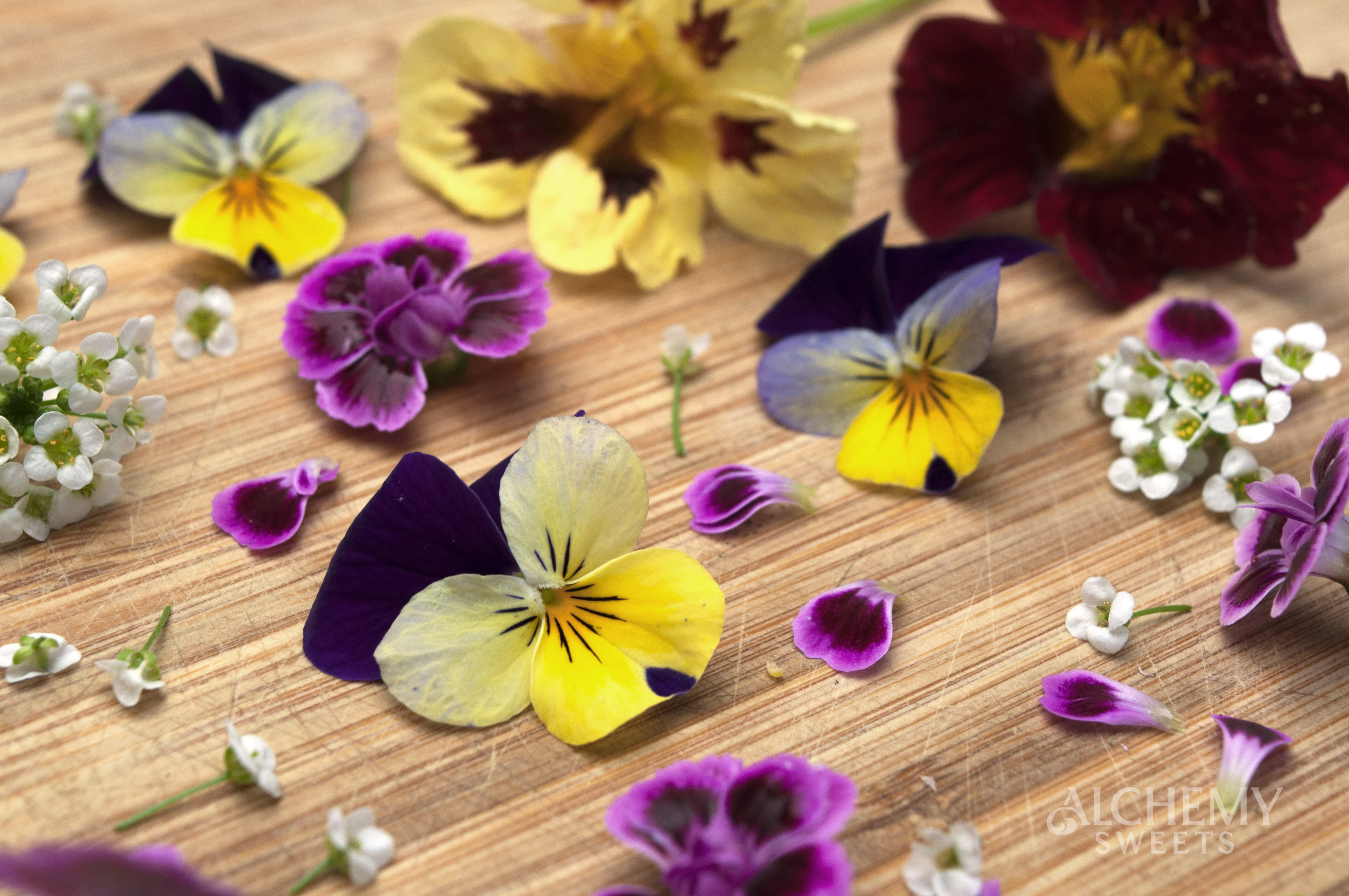 Edible Flowers for Cake Decorating