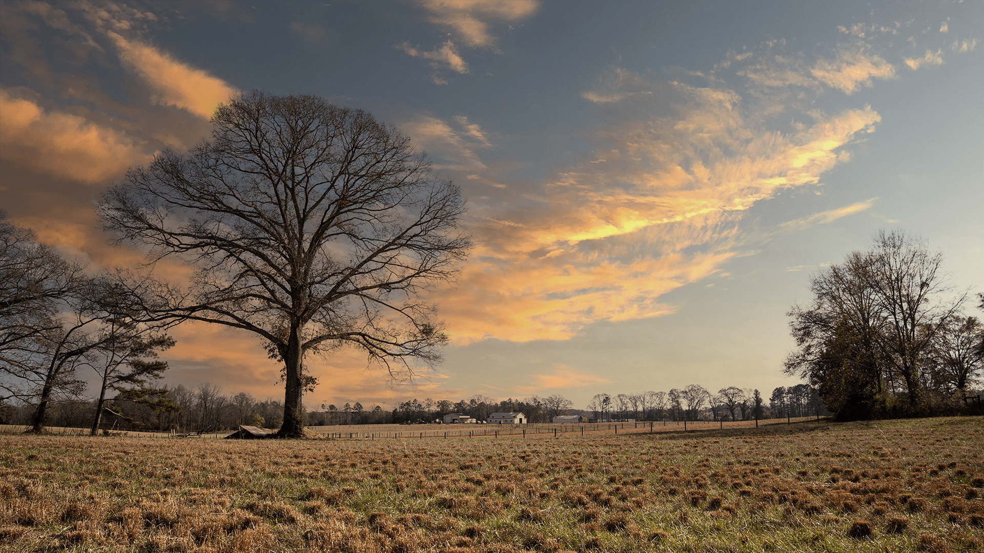 view of the farm from the pasture