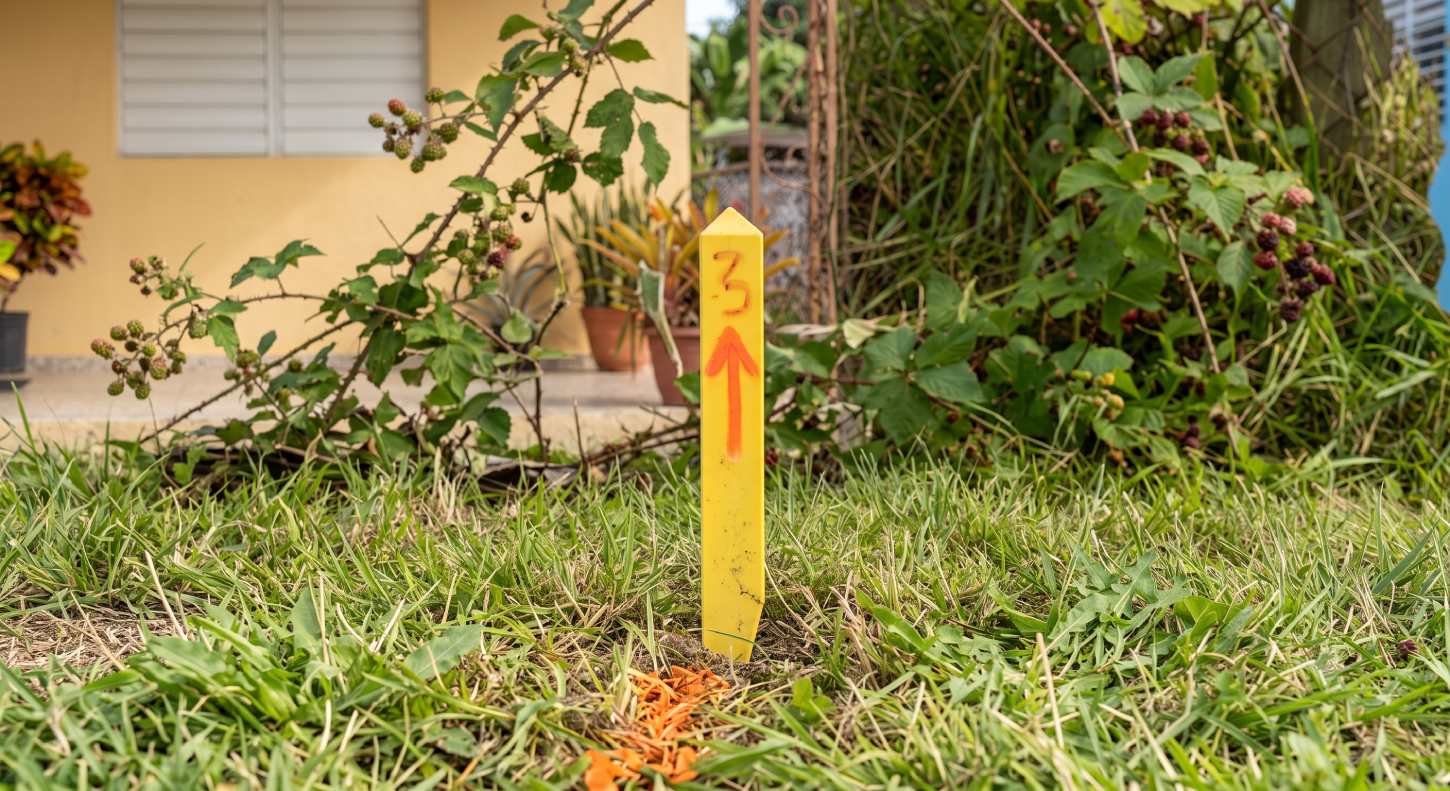 Imagen de la cobertura de: Microjuris explica cómo se realiza el deslinde de un terreno