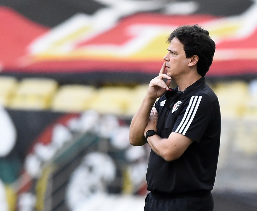Santos faz proposta e avança para contratar Fernando Diniz