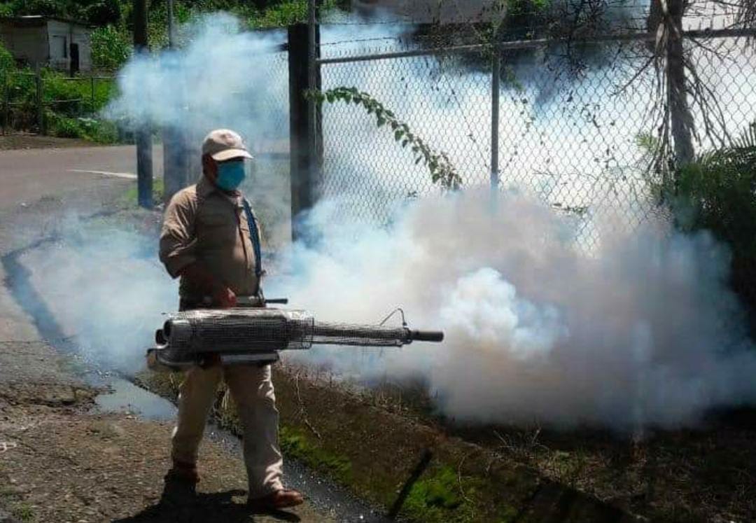 Lleva Chiapas registro de 71 casos de dengue