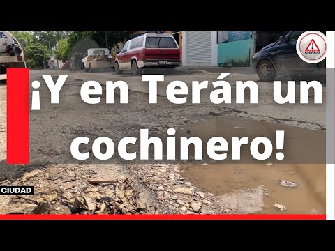 ¡Y en Terán un cochinero!