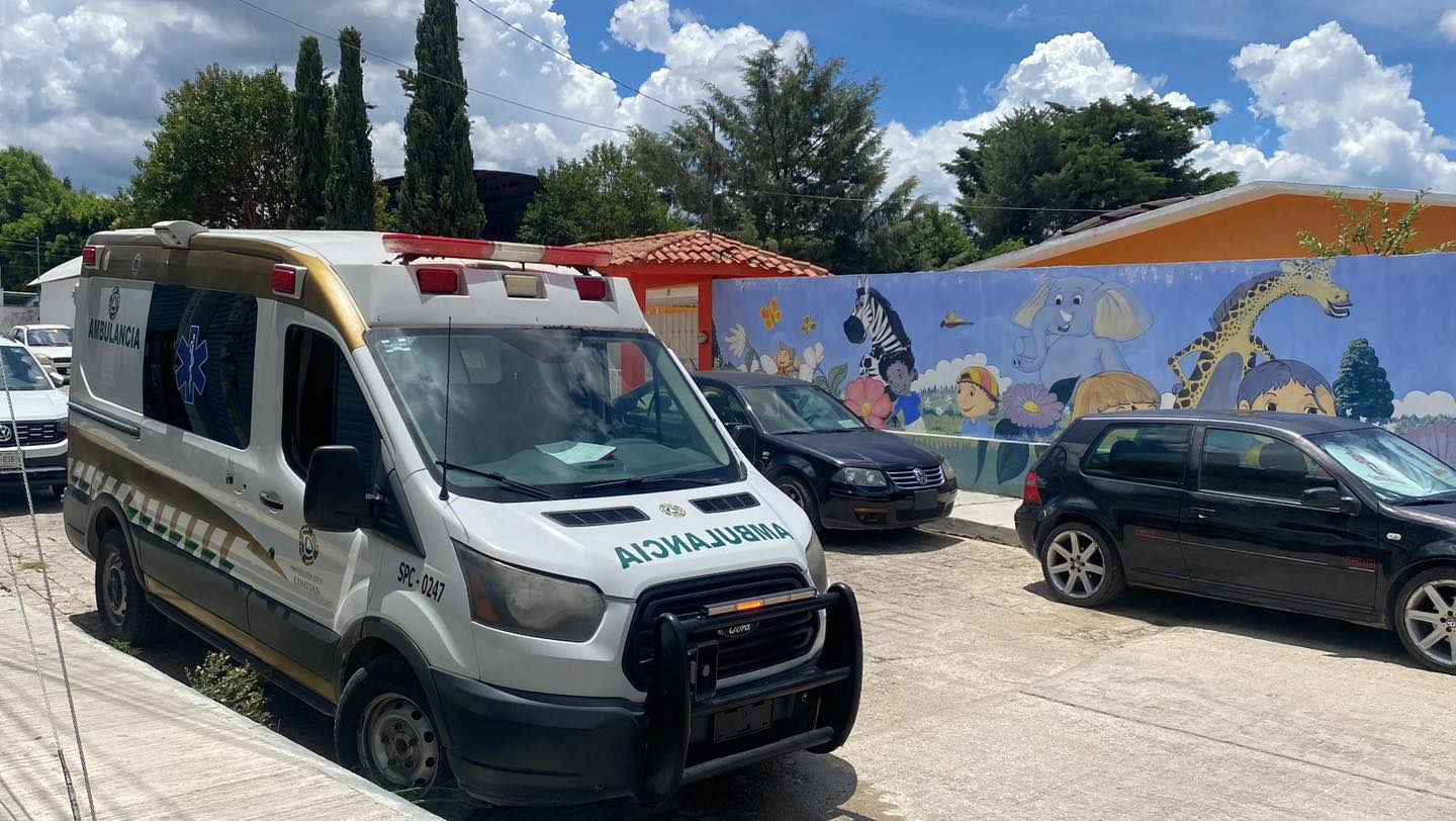 Abejas atacan a menores en Comitán