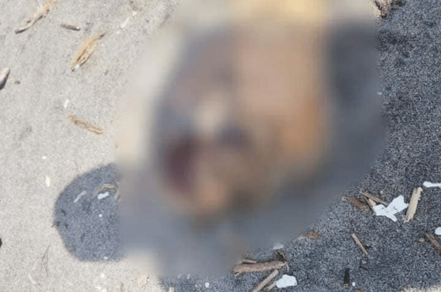Suchiate, convertido en vertedero de muertos