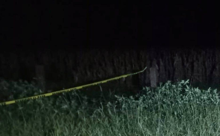 De dos balazos matan a campesino